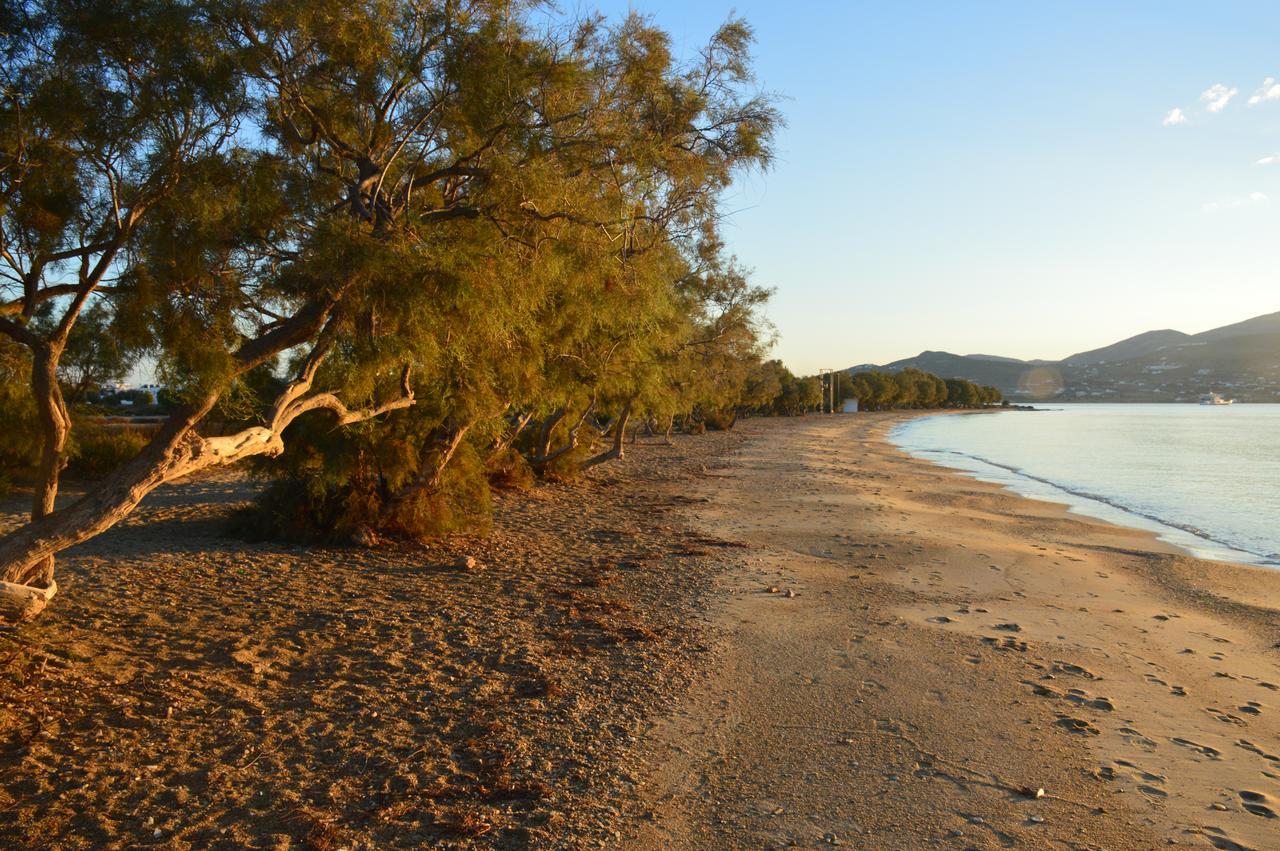 Thalasea - Village Antiparos Bagian luar foto